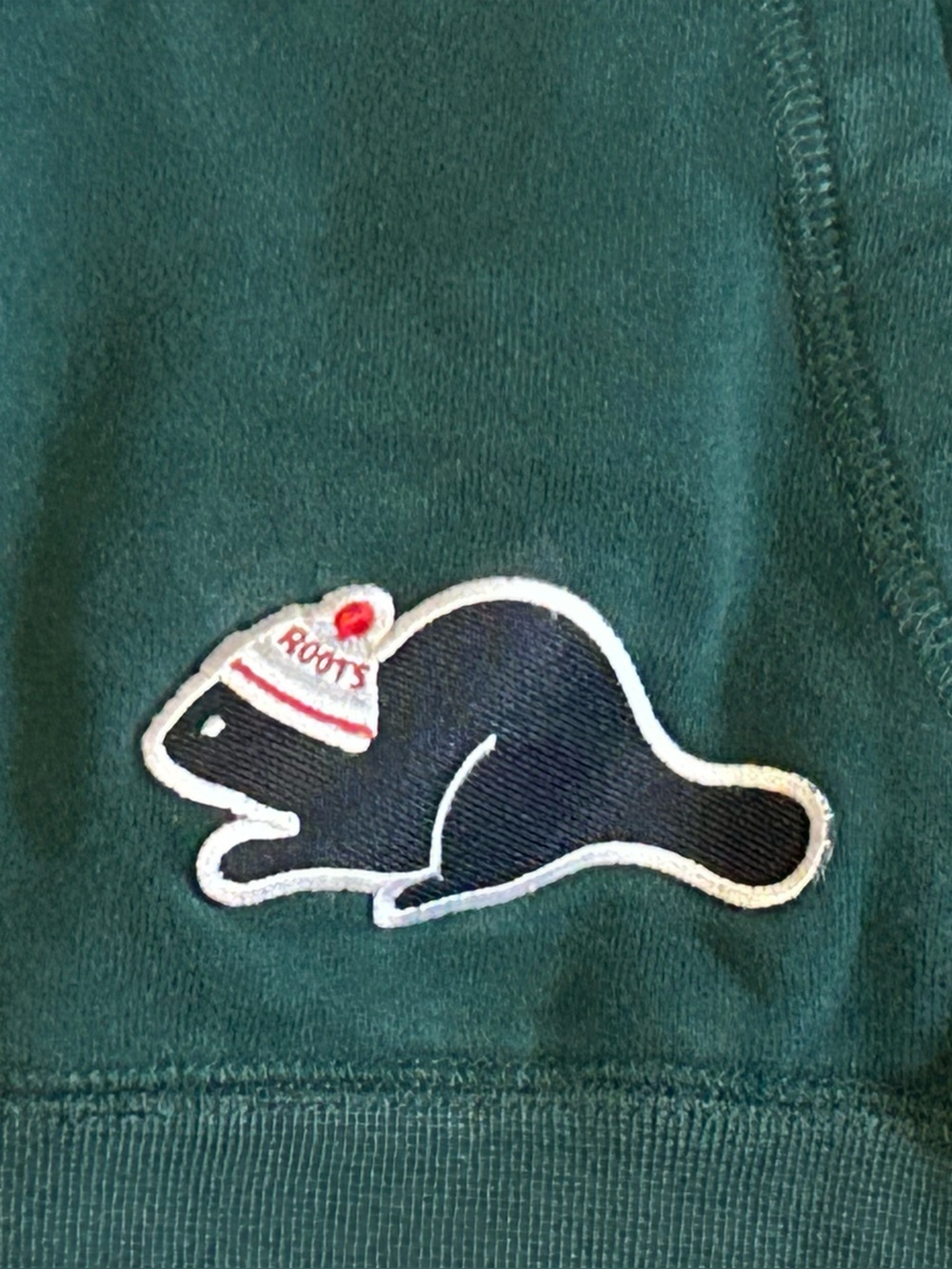 Roots Kids Forest Green Beaver Logo Hoodie | Size 5–6 Years - Picture 4 of 7